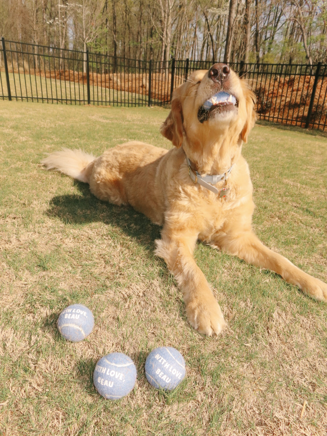With Love Tennis Balls