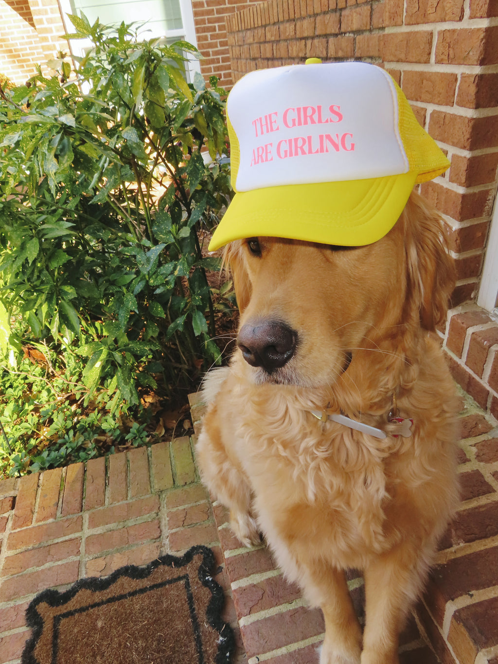 The Girls Are Girling Trucker Hat