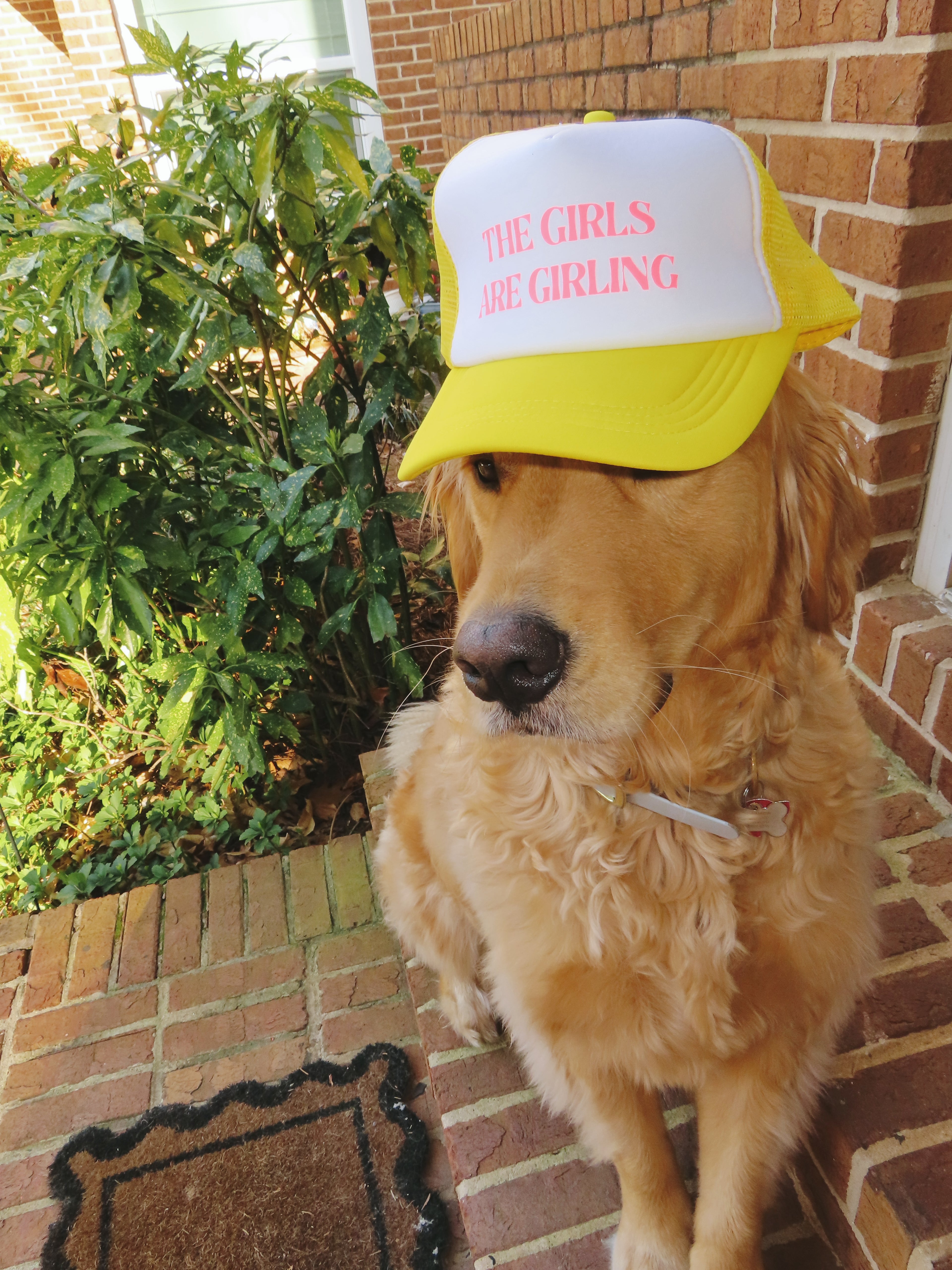 The Girls Are Girling Trucker Hat