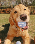 With Love Tennis Balls