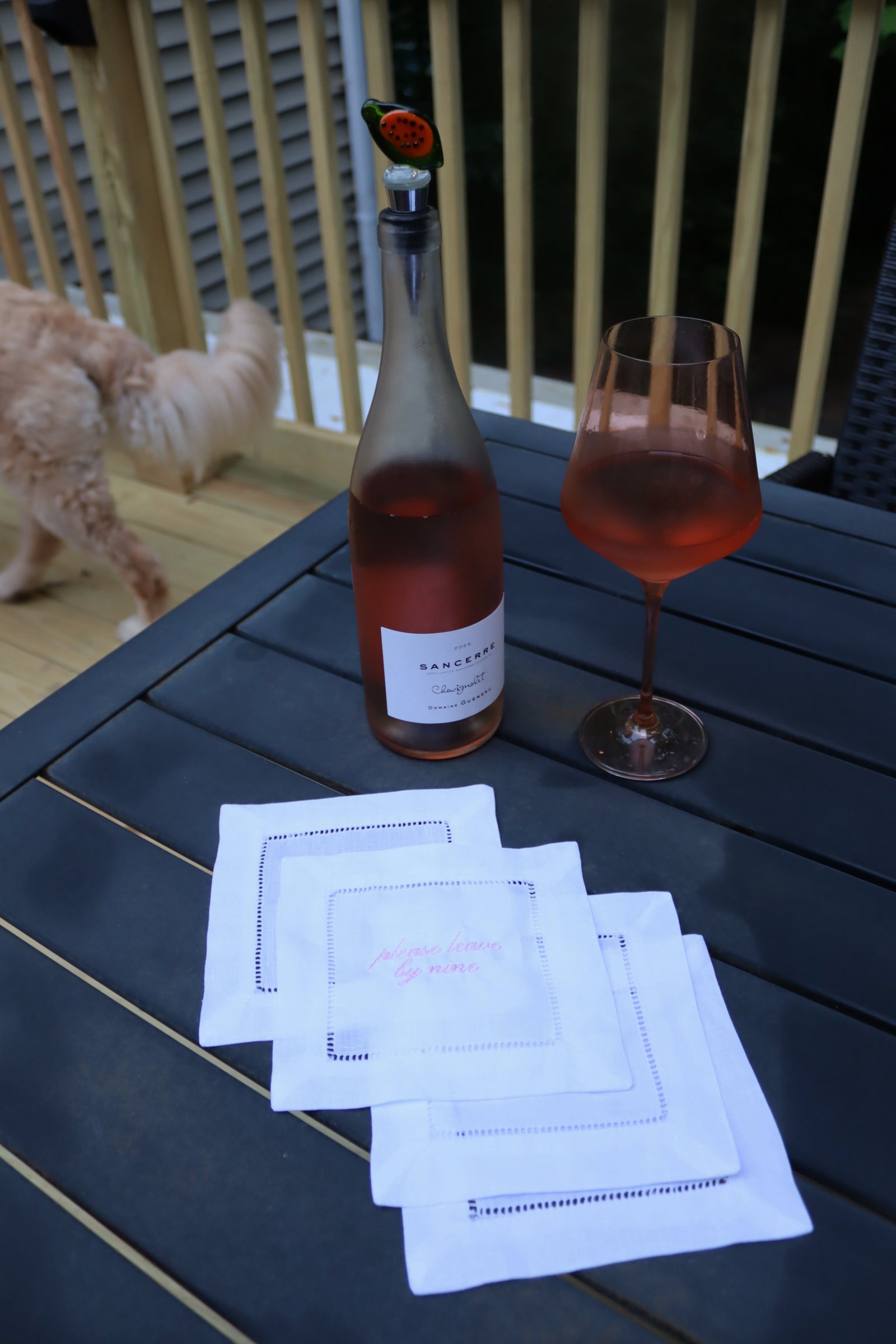 Please Leave by 9 Cocktail Napkin Set