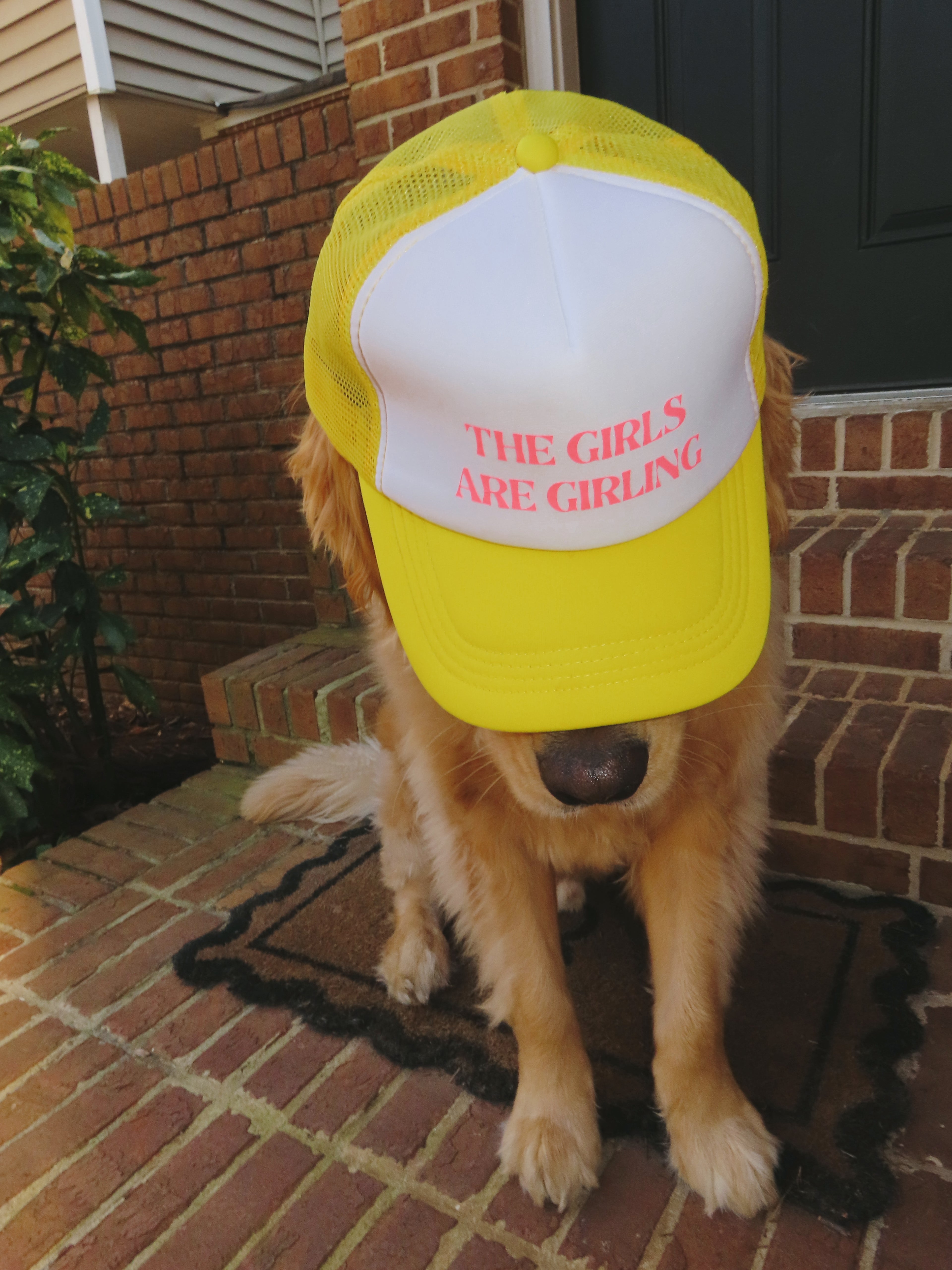 The Girls Are Girling Trucker Hat