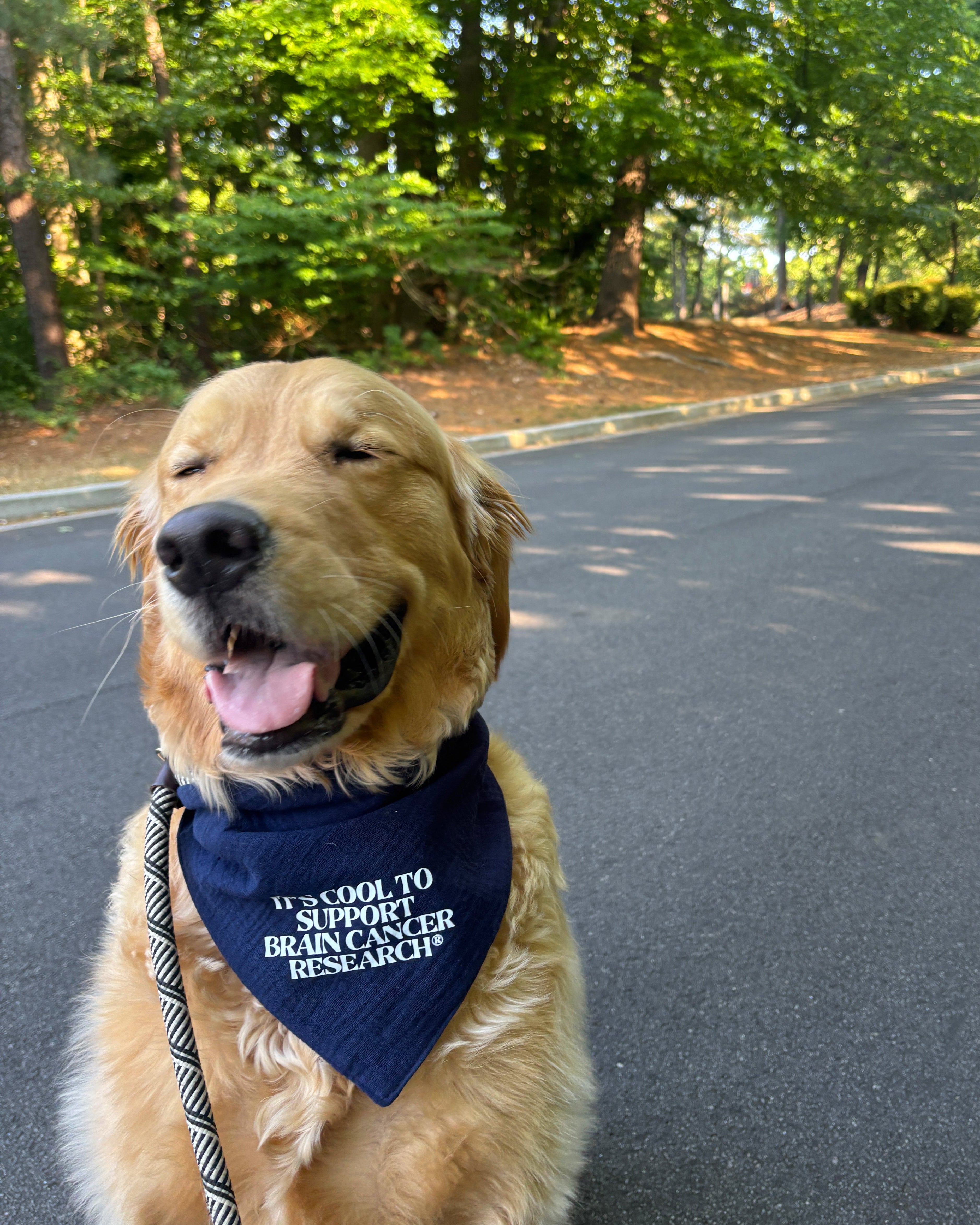 Gray for Glioblastoma x Good Measure Brain Cancer Awareness Dog Bandana - Navy