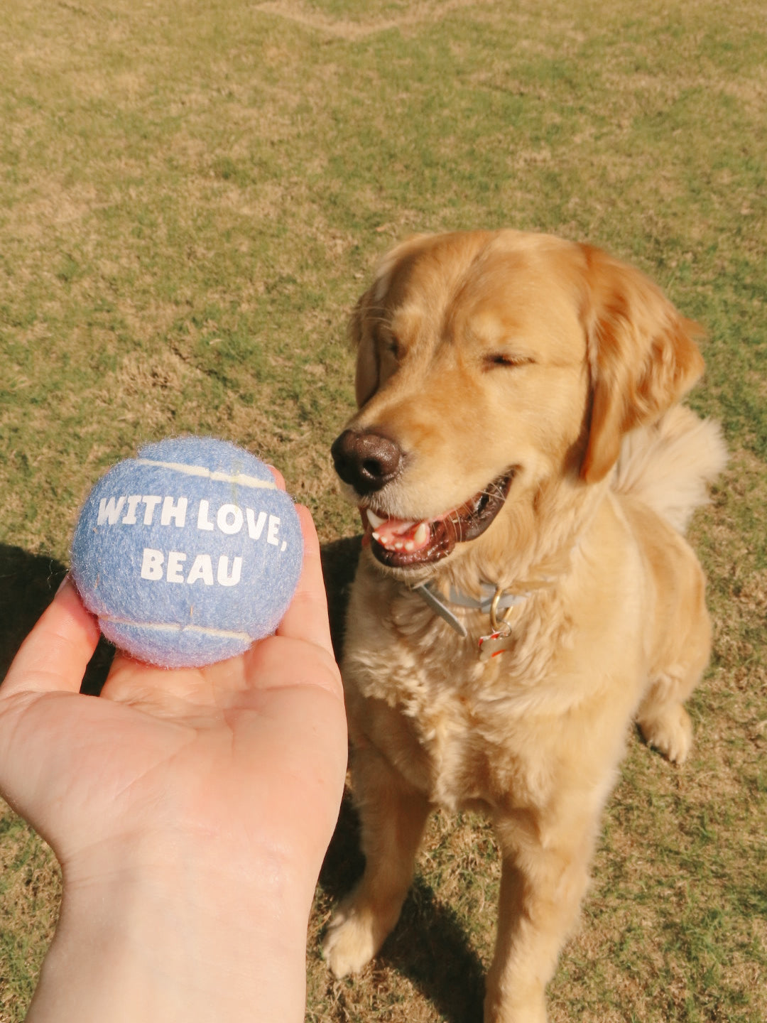 With Love Tennis Balls