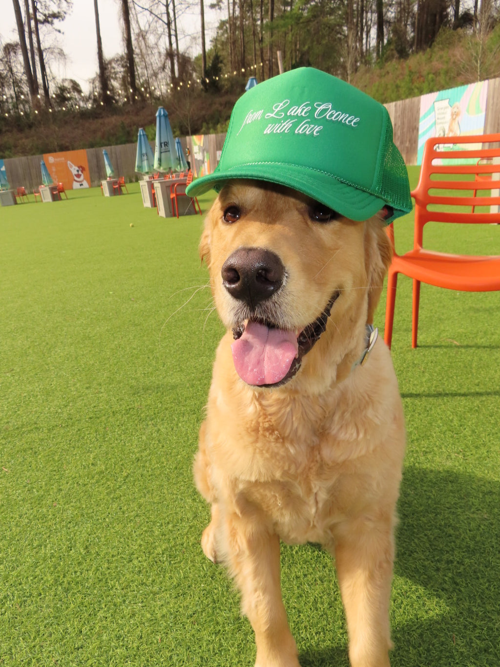 With Love Trucker Hat