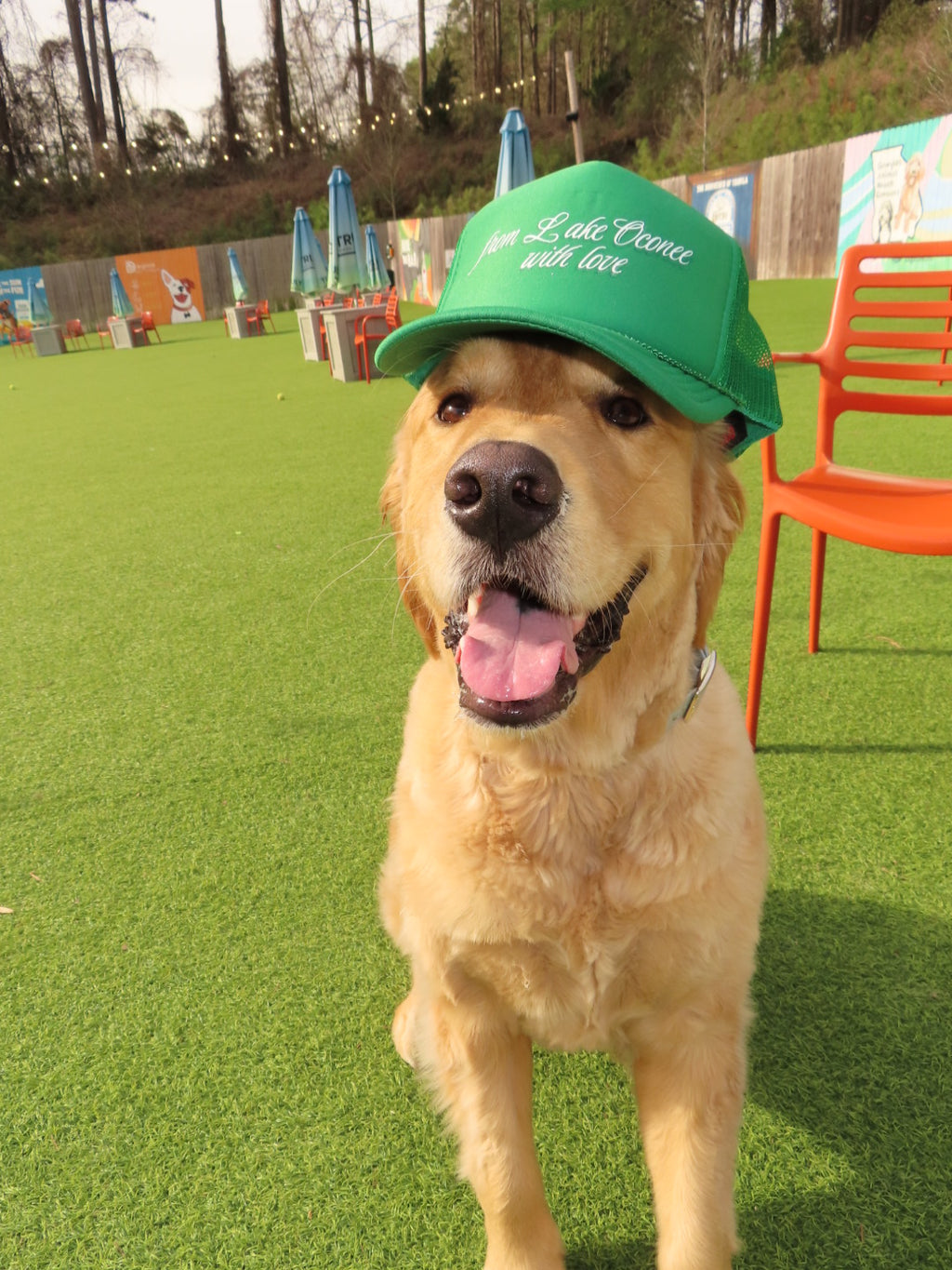 With Love Trucker Hat