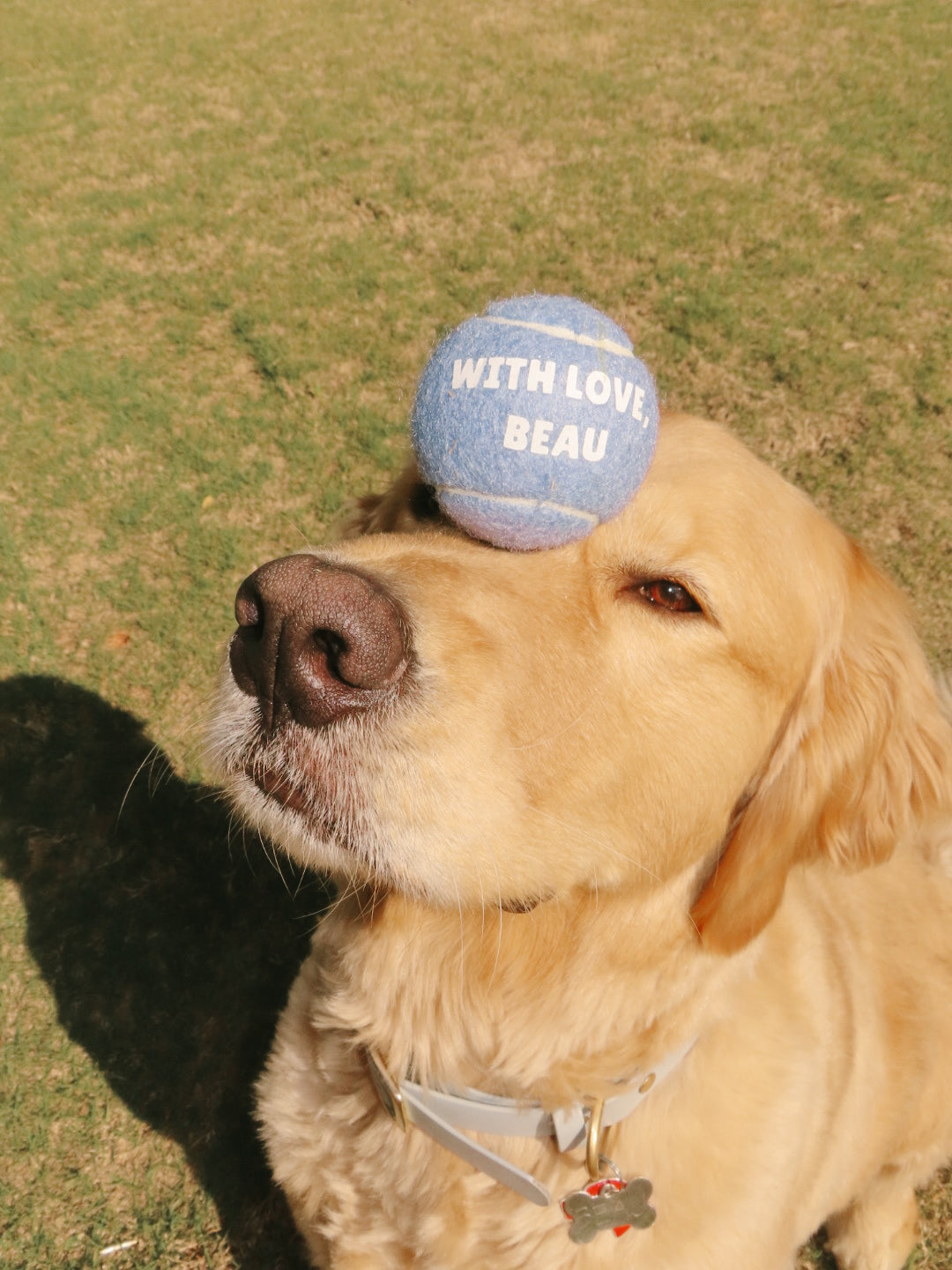 With Love Tennis Balls