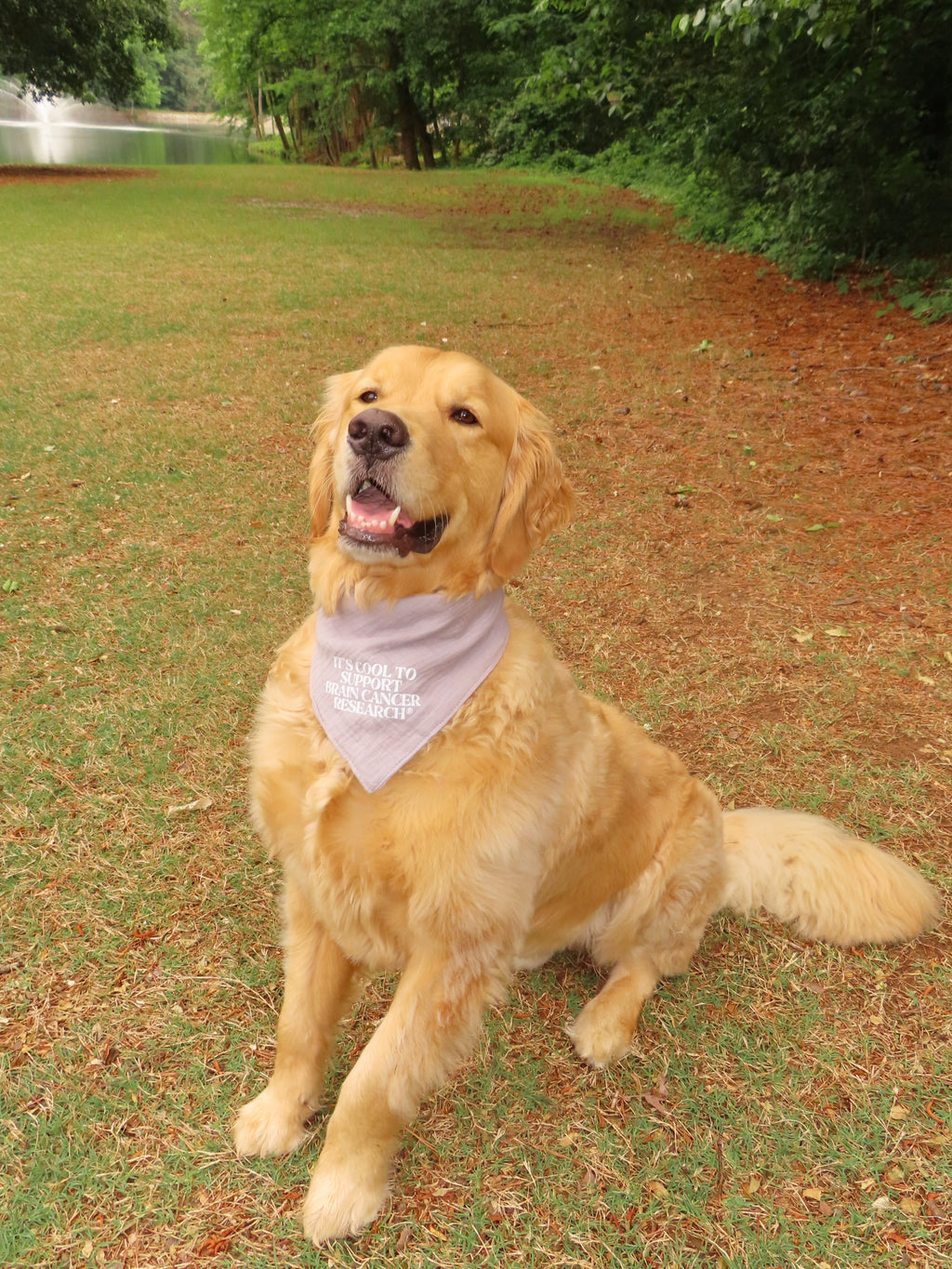 Gray for Glioblastoma x Good Measure Brain Cancer Awareness Dog Bandana - Gray