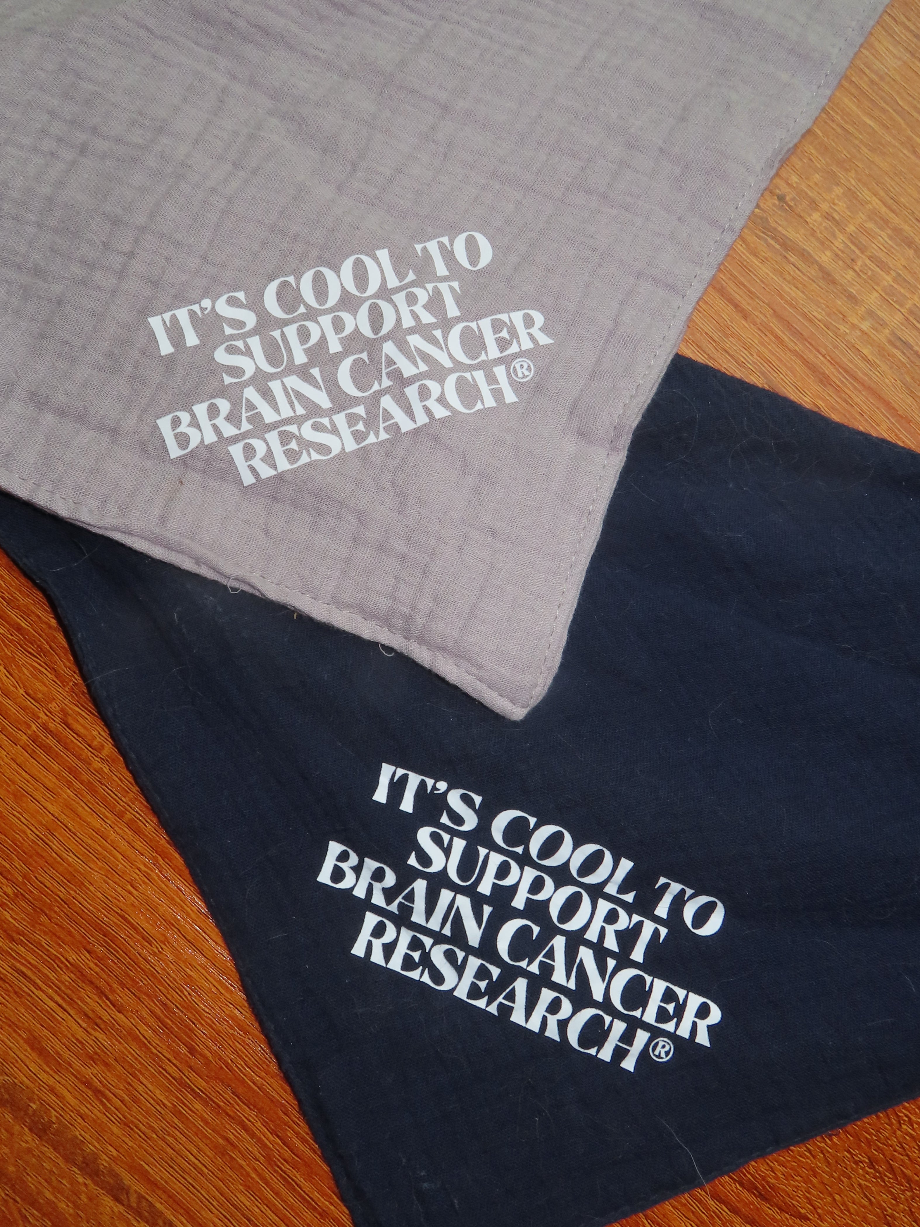 Gray for Glioblastoma x Good Measure Brain Cancer Awareness Dog Bandana - Navy