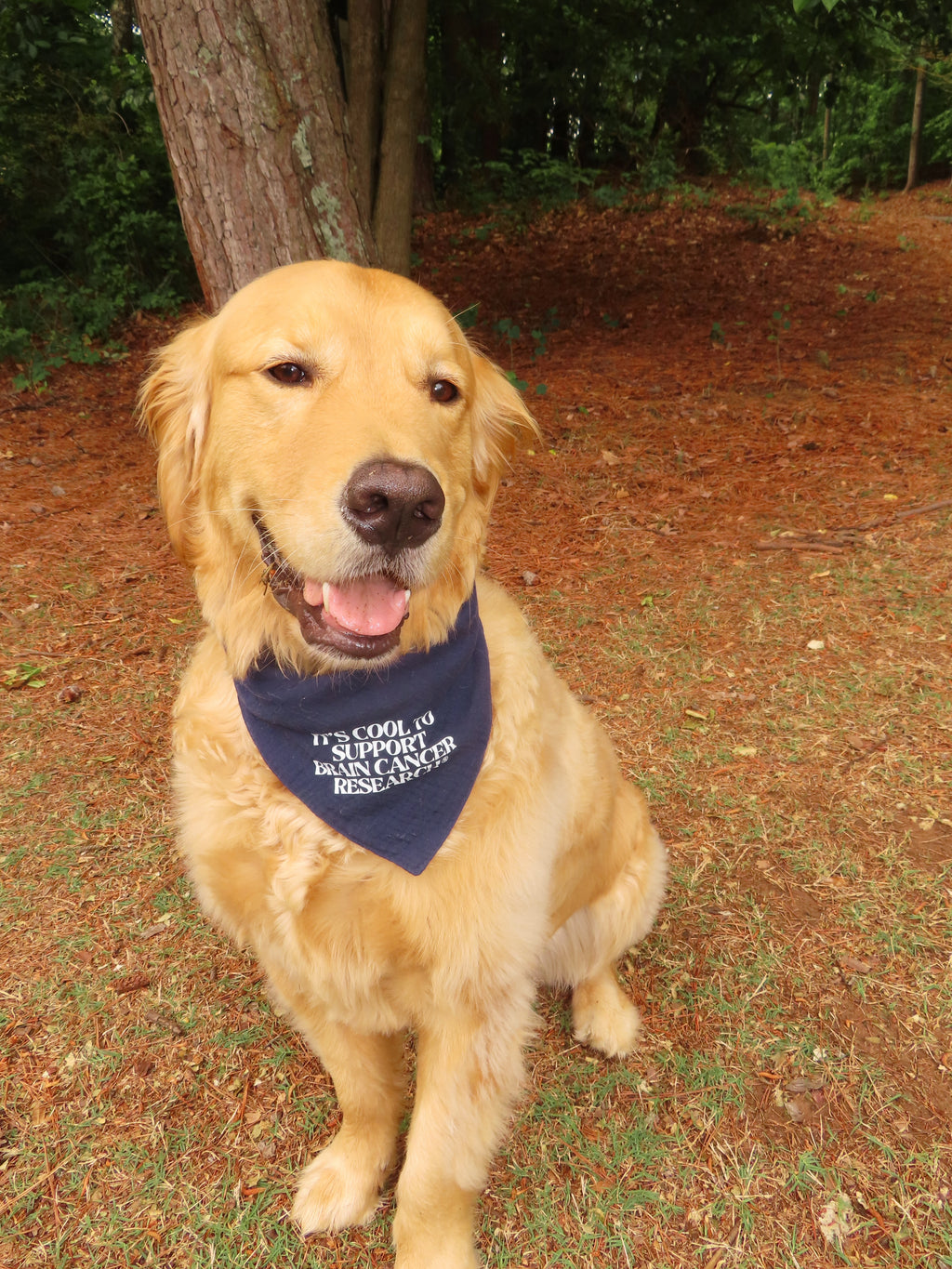 Gray for Glioblastoma x Good Measure Brain Cancer Awareness Dog Bandana - Navy