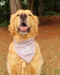 Gray for Glioblastoma x Good Measure Brain Cancer Awareness Dog Bandana - Gray