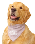 Gray for Glioblastoma x Good Measure Brain Cancer Awareness Dog Bandana - Gray